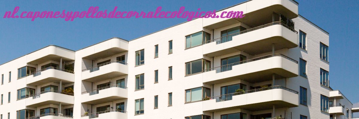 nl.caponesypollosdecorralecologicos.com